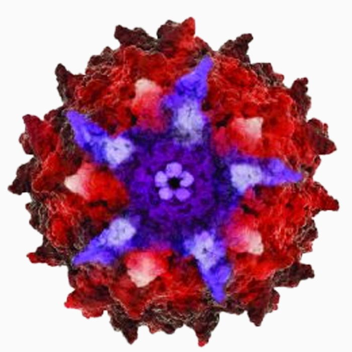 Asklepios BioPharmaceuticals